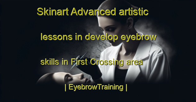 Skinart Advanced artistic lessons in develop eyebrow skills in First Crossing area | EyebrowTraining | EyebrowClasses | SkinartTraining-United States